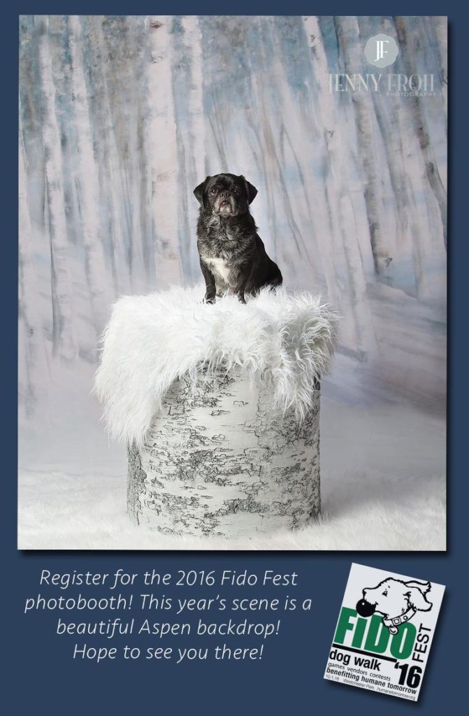 Fido Fest 2016 Photo Booth